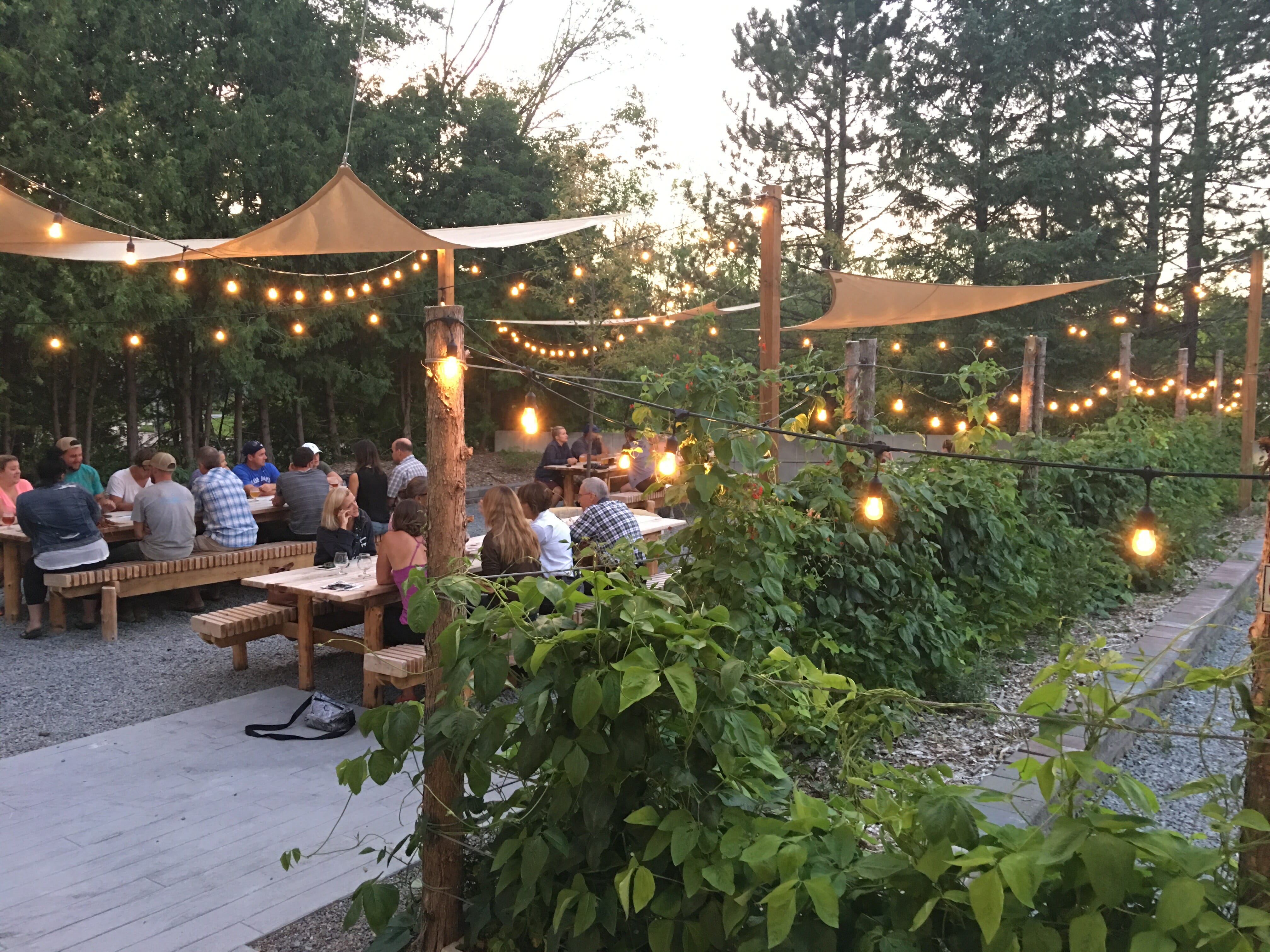 Our Beer Garden – The Second Wedge Brewing Co.